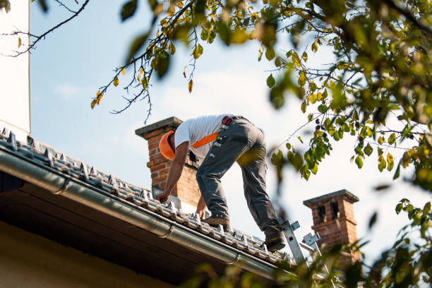 Best Residential Roofing Contractor  in Palatine, IL
