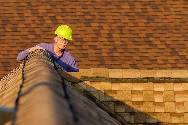 Best Storm Damage Roof Repair  in Palatine, IL