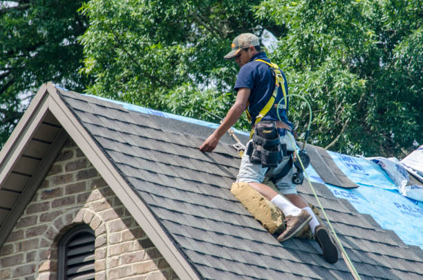 Quick and Trustworthy Emergency Roof Repair Services in Palatine, IL